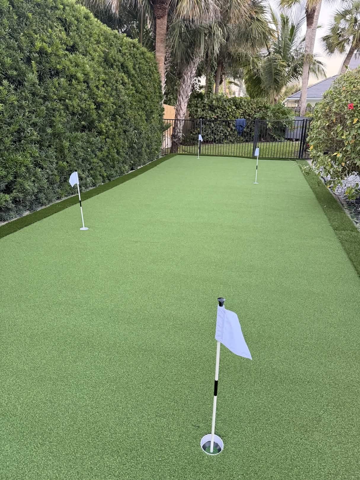 Putting Greens and Turf - green